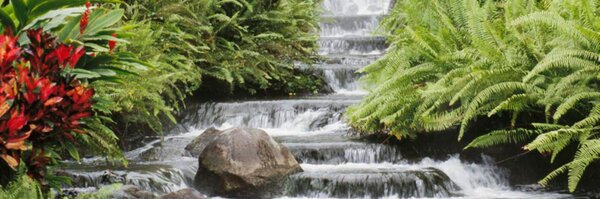 caren1982 Profile Banner