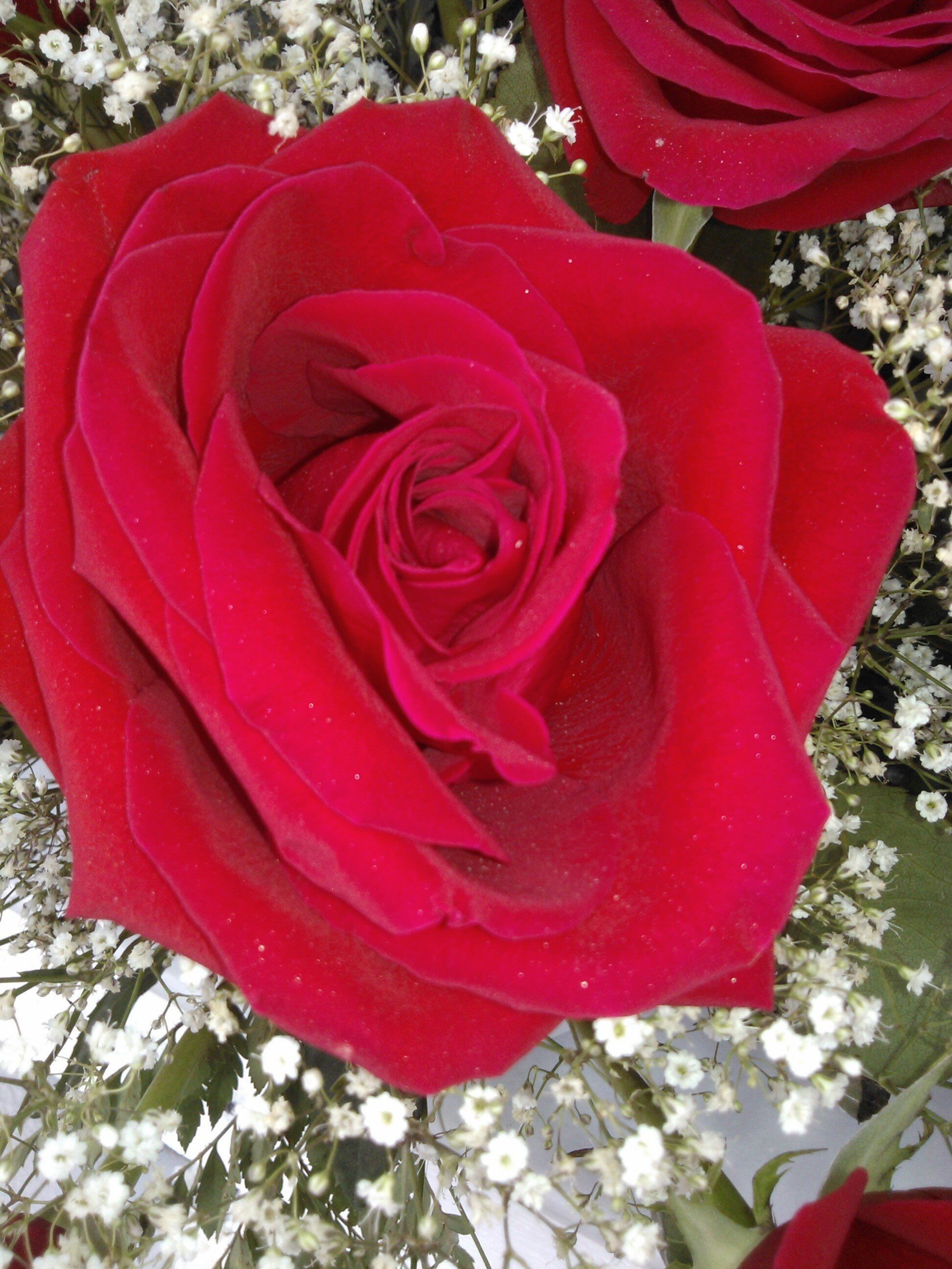 antonioescola's profile banner image