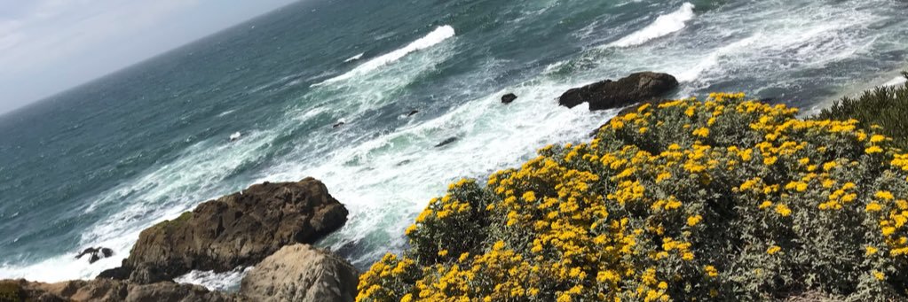 haleyssb's profile banner image