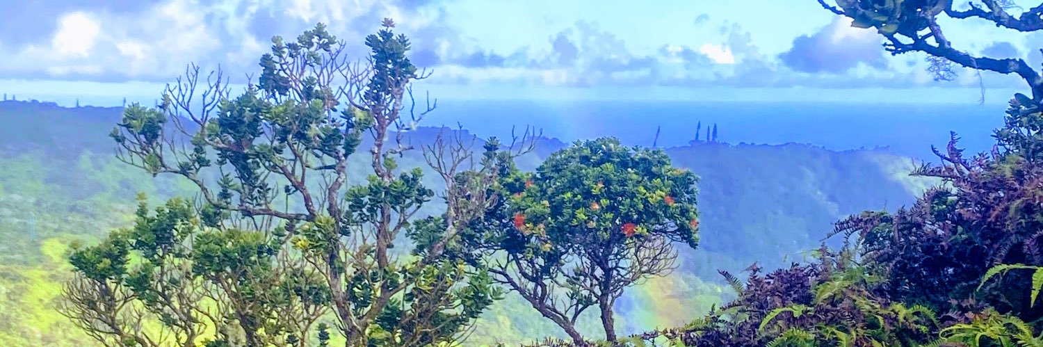 LeahBremer's profile banner image