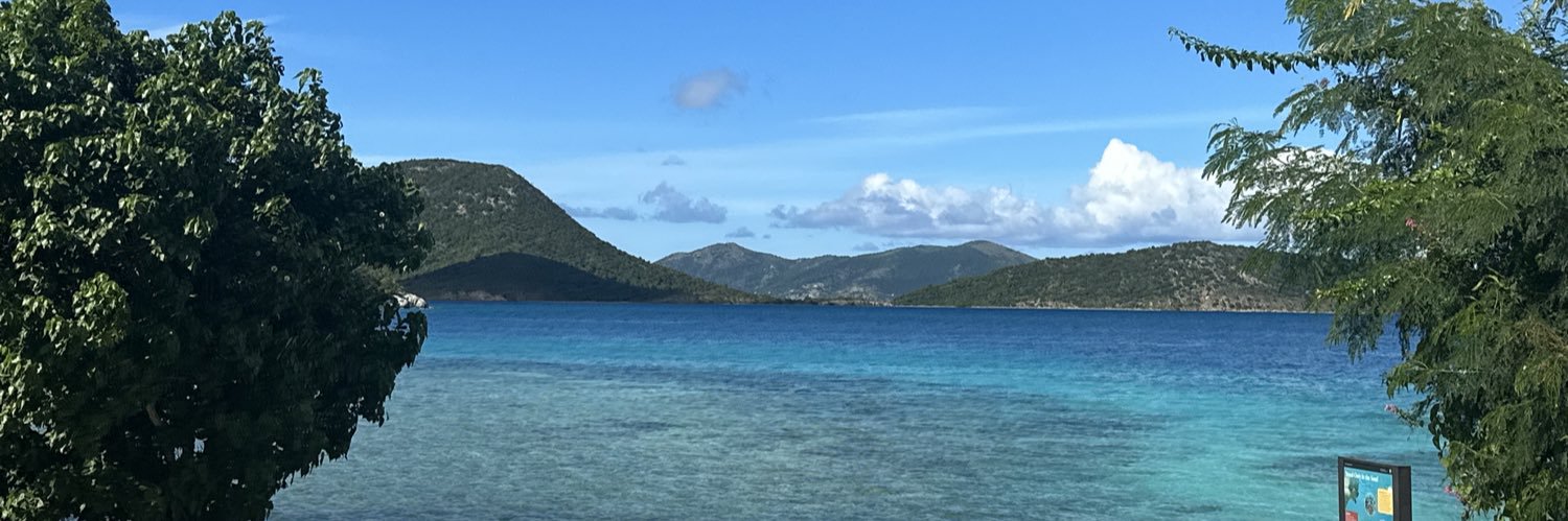 🌼💛Caity💛🌼 banner