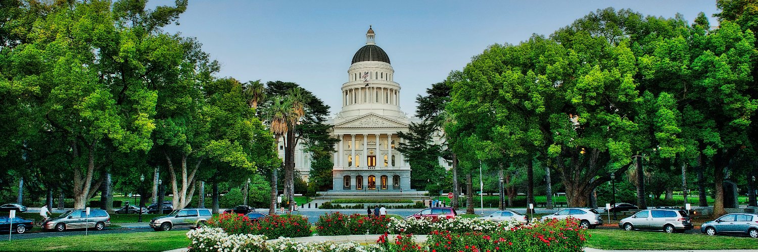 California Target Book banner