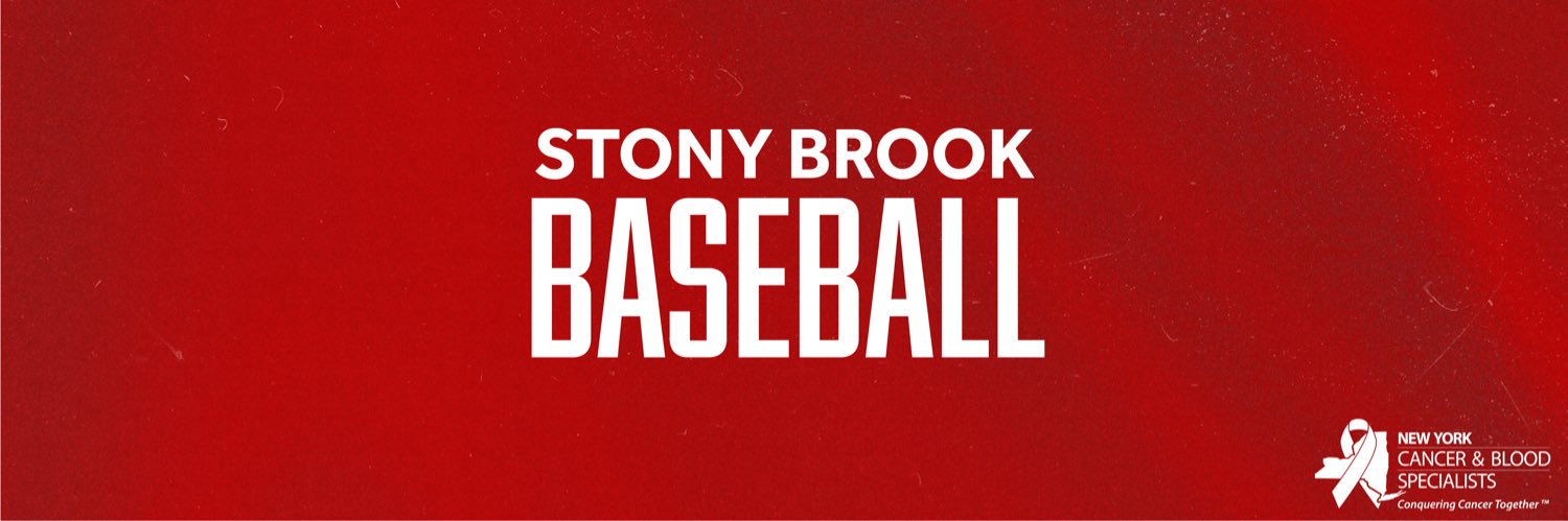 Stony Brook Baseball's banner