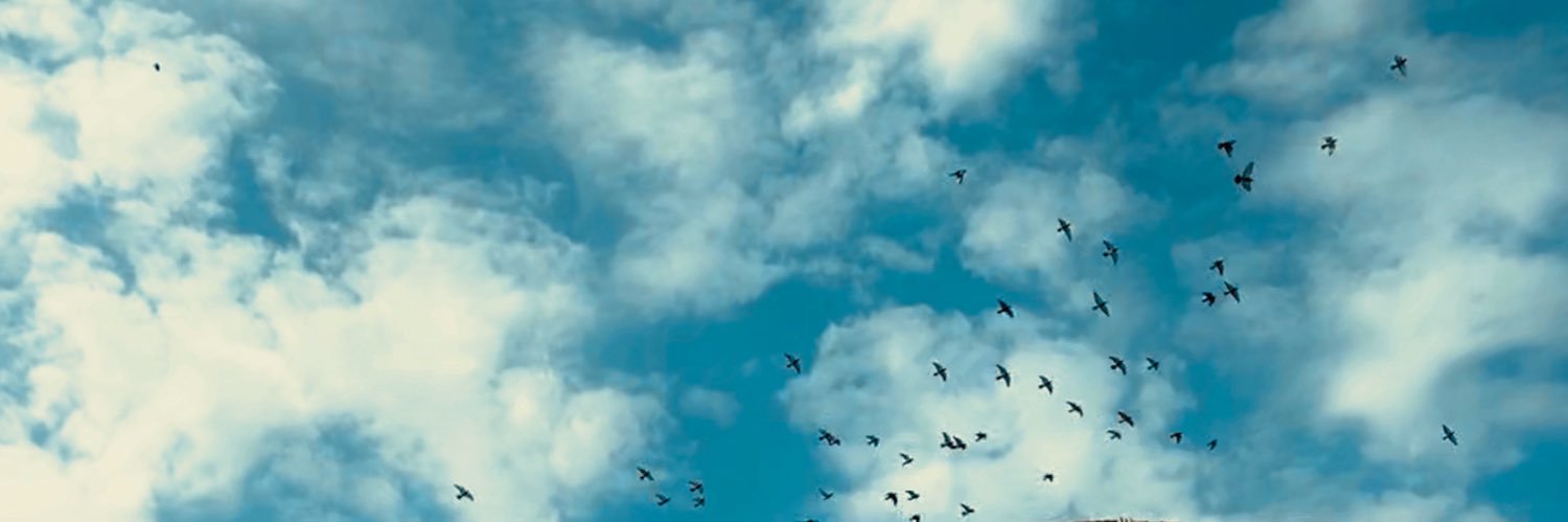 DalalMB_17's profile banner image