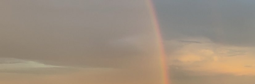 meggan66's profile banner image
