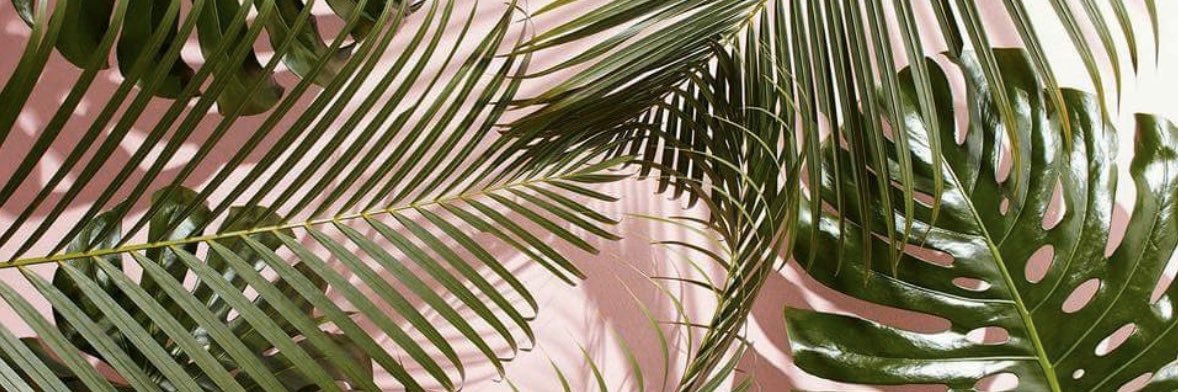 Estephhxo's profile banner image