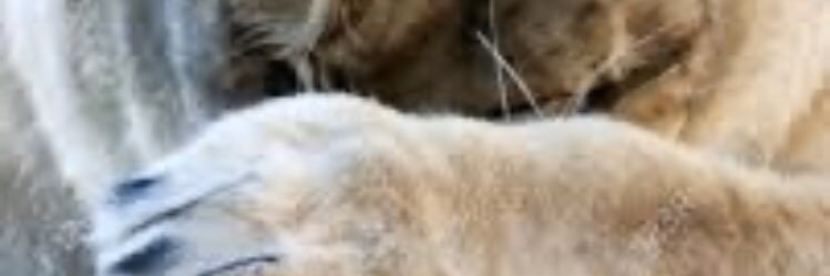 Fatagreen's profile banner image