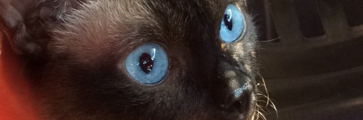 edadmis's profile banner image
