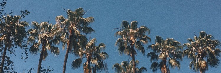 Gabe Ceribelli banner
