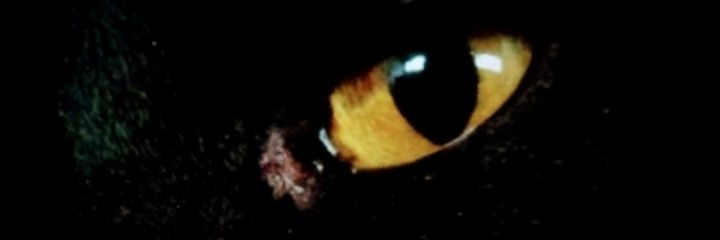 VeVertigen's profile banner image