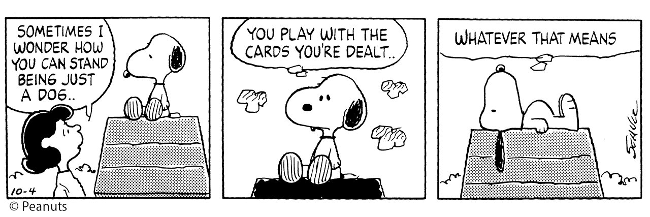 Satoshi Nagayasu 🌸 banner