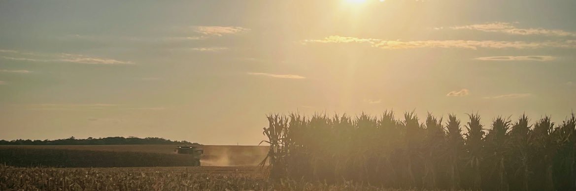 Jenny Schweigert 🇺🇲 banner