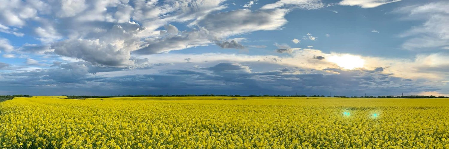 Lucian Daniliuc banner