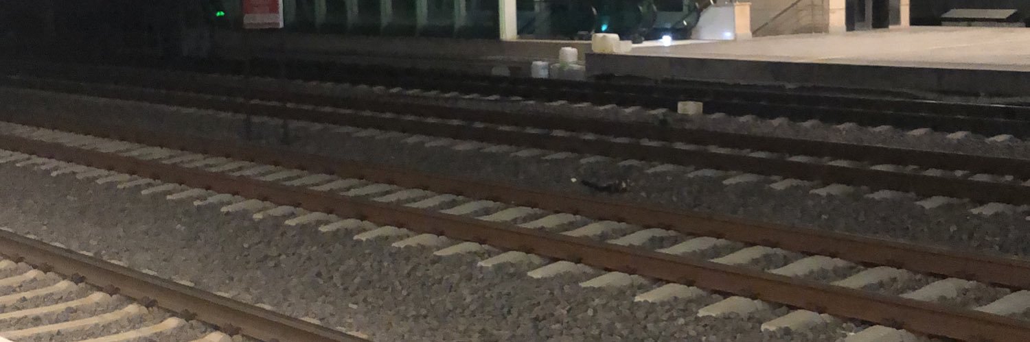 aybukecaliskan's profile banner image