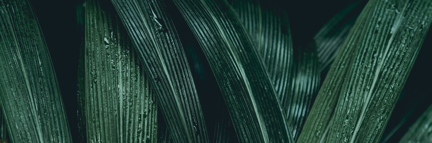 Chanelle777's profile banner image