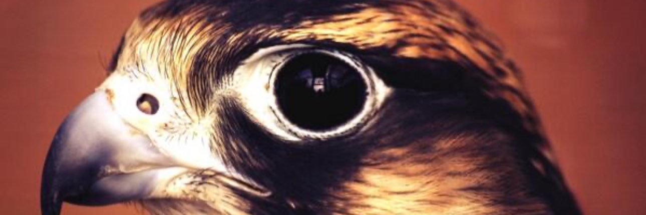 الحميدي أبو سعد💛48💙 banner