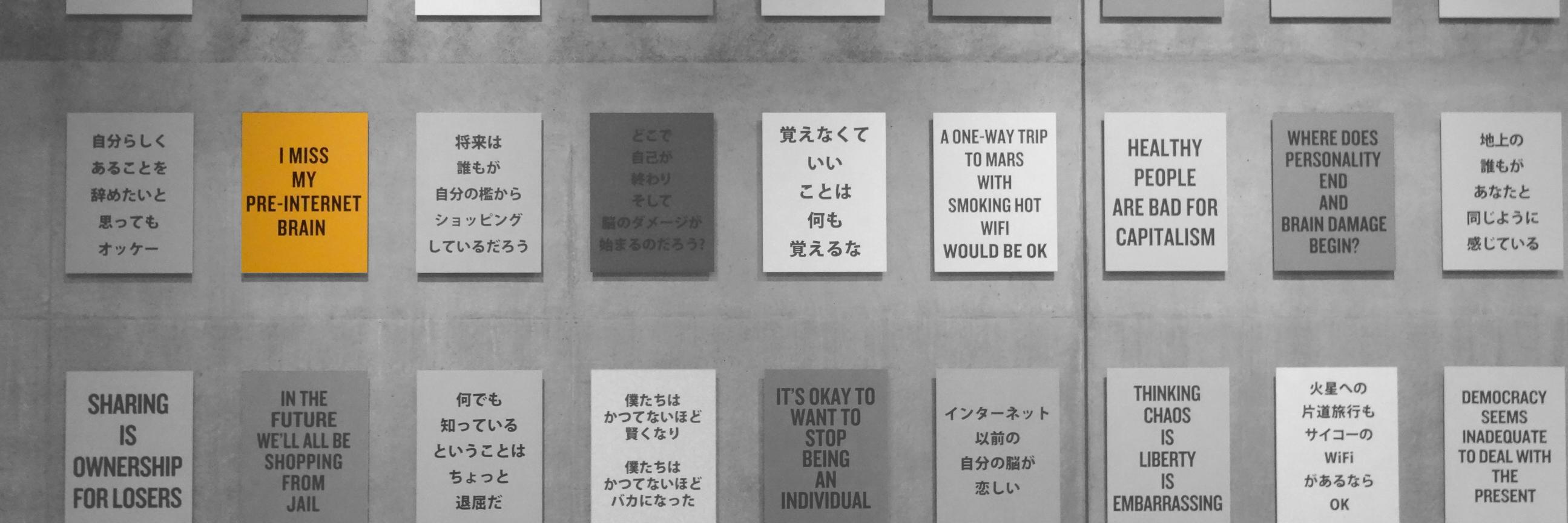 Aleksandra Kozawska banner