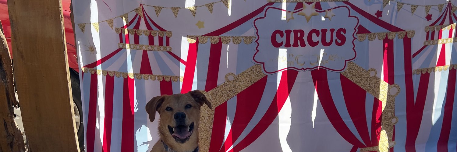 auddddec's profile banner image