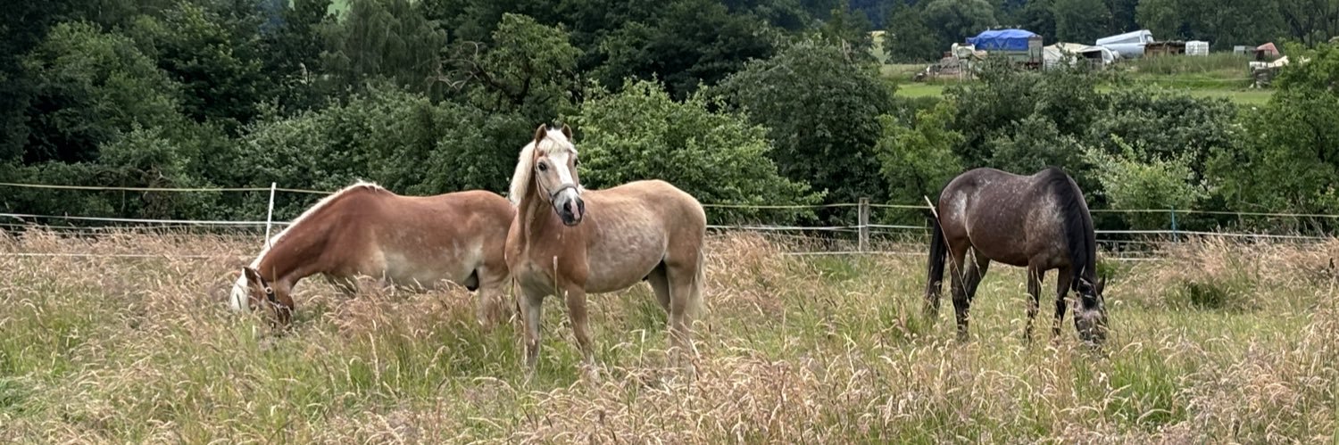 Constanze Jendrike banner