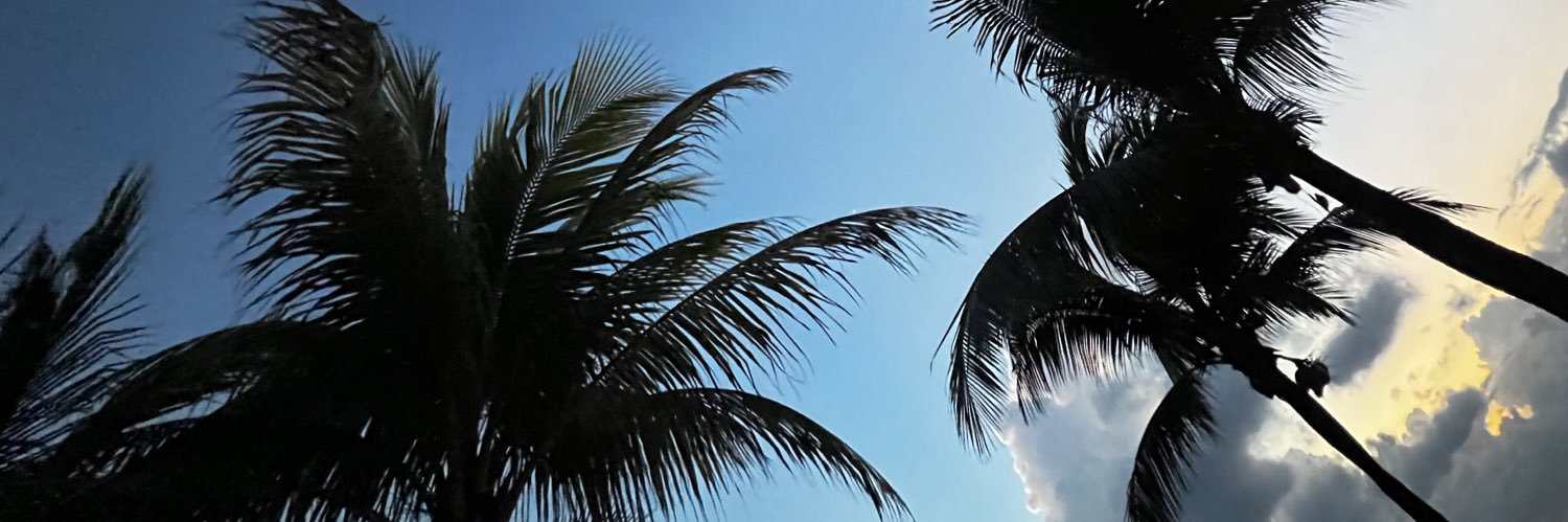 💲 banner