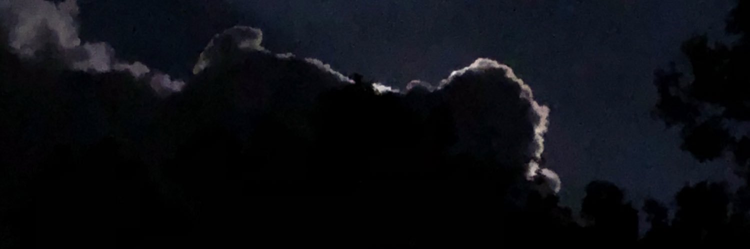 koalamelissa's profile banner image