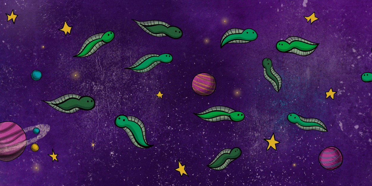 Symbolia's profile banner image