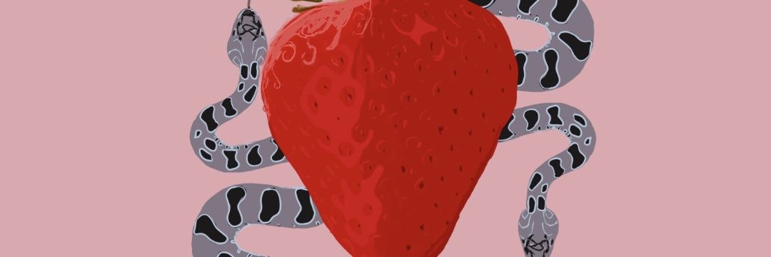 scoffsatgravity's profile banner image