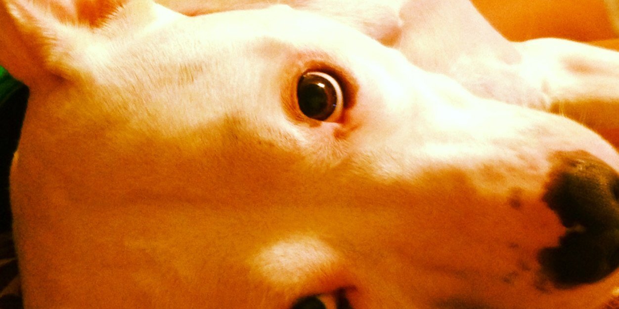 nickmunoz44's profile banner image