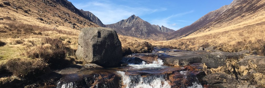 Chris Hamilton banner