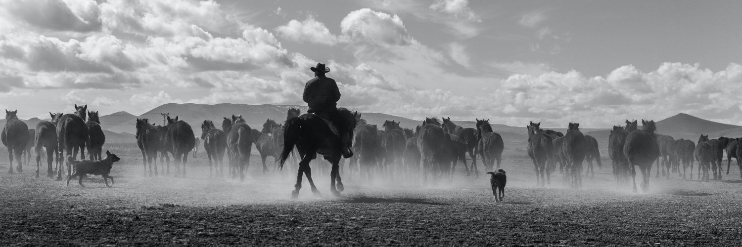 chadwickwick's profile banner image