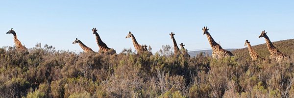 JBesford Profile Banner