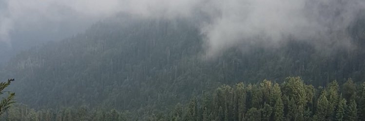naffayH's profile banner image
