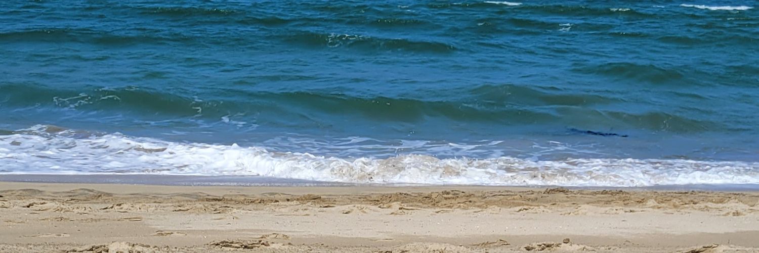 mrsmoore77's profile banner image