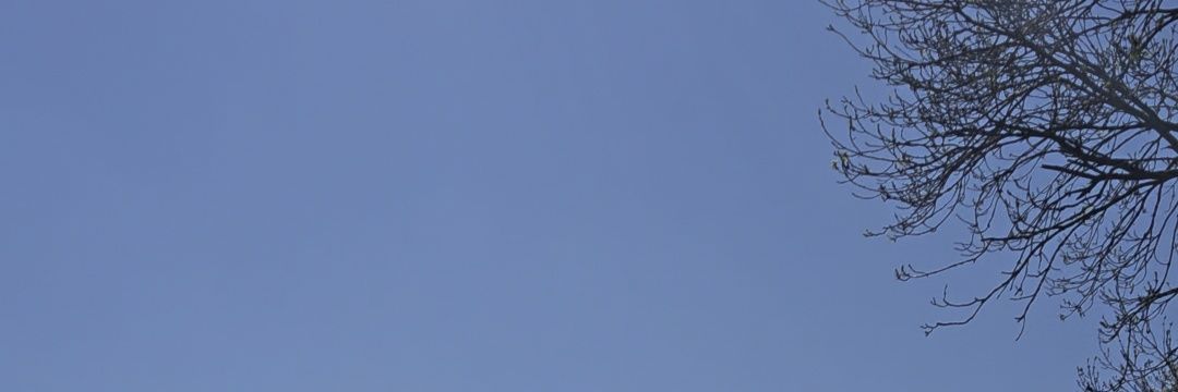 Rach banner
