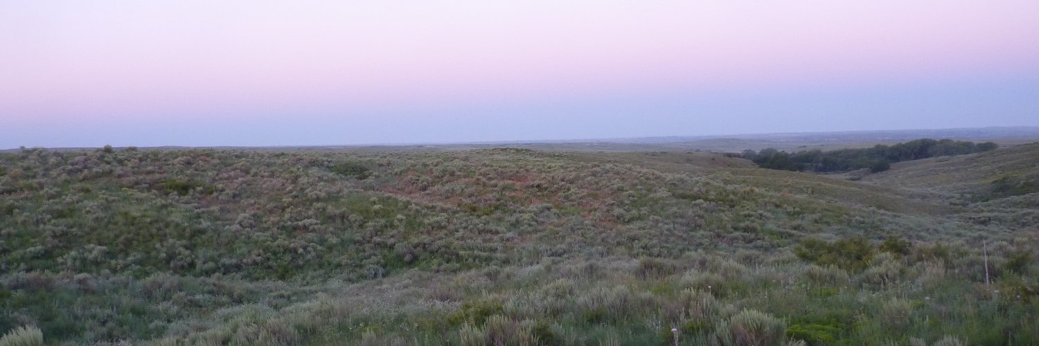 Tim O'Connell banner