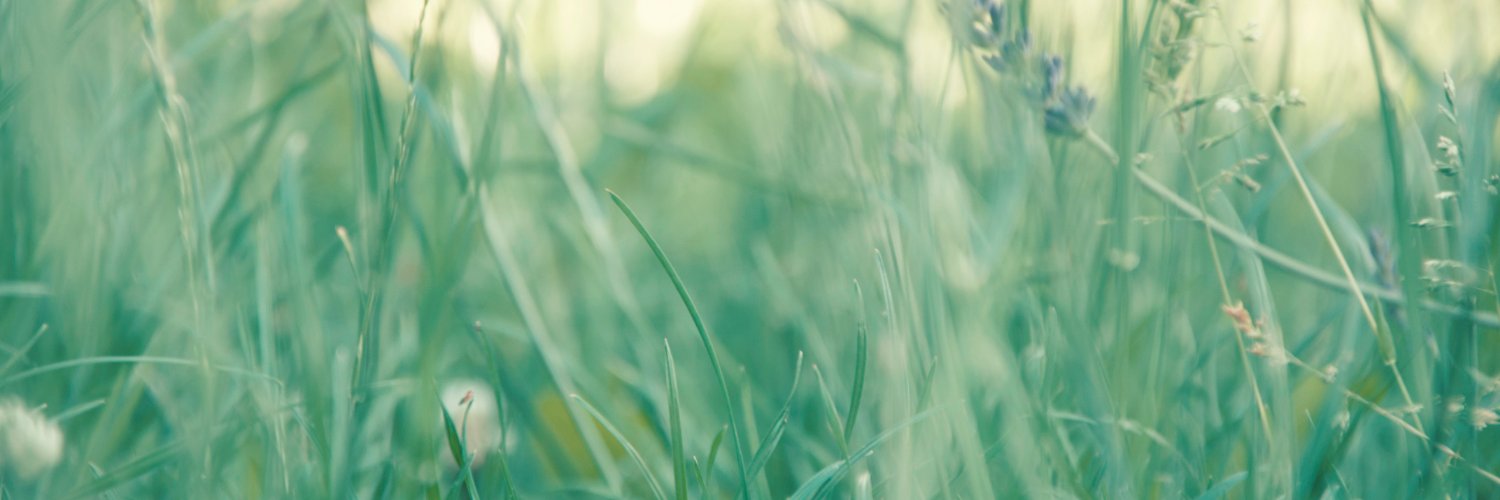 CaamuDietzel's profile banner image