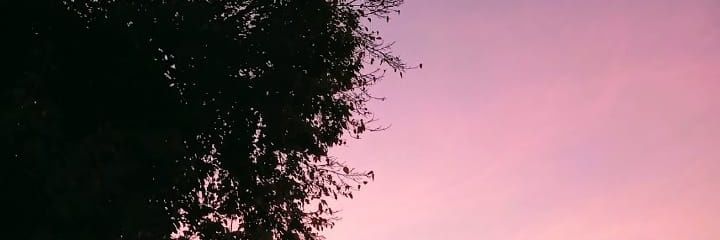 CotyFrete's profile banner image