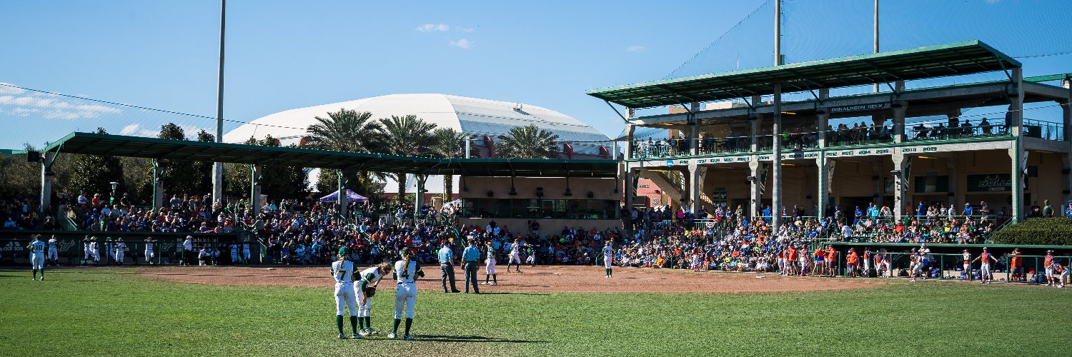 USF Softball's banner