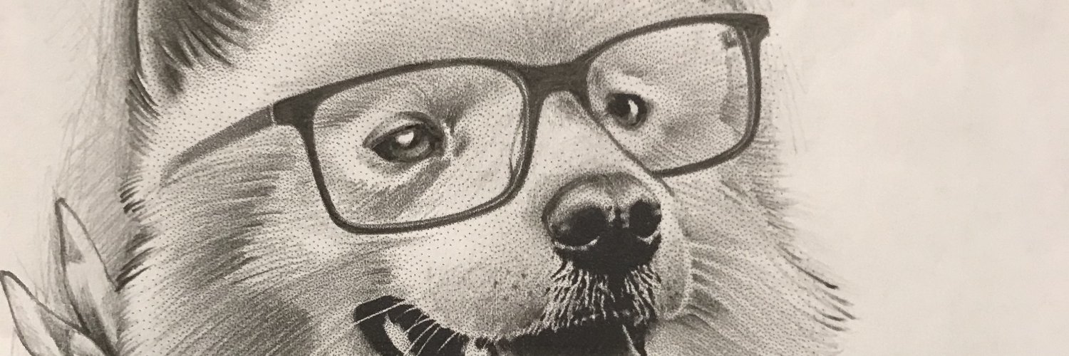 lortaros's profile banner image