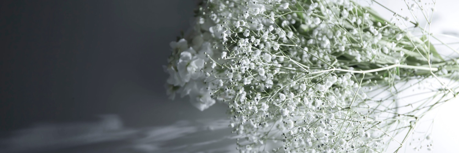 dalu___i's profile banner image
