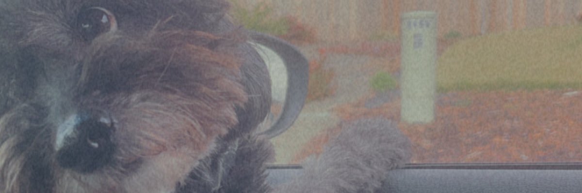 RoboLizzz's profile banner image