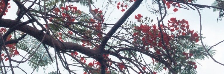 yeeshashriyan's profile banner image
