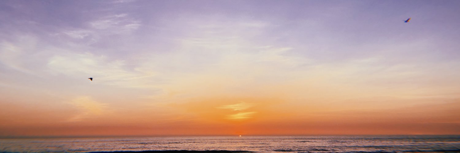 syu_yui's profile banner image