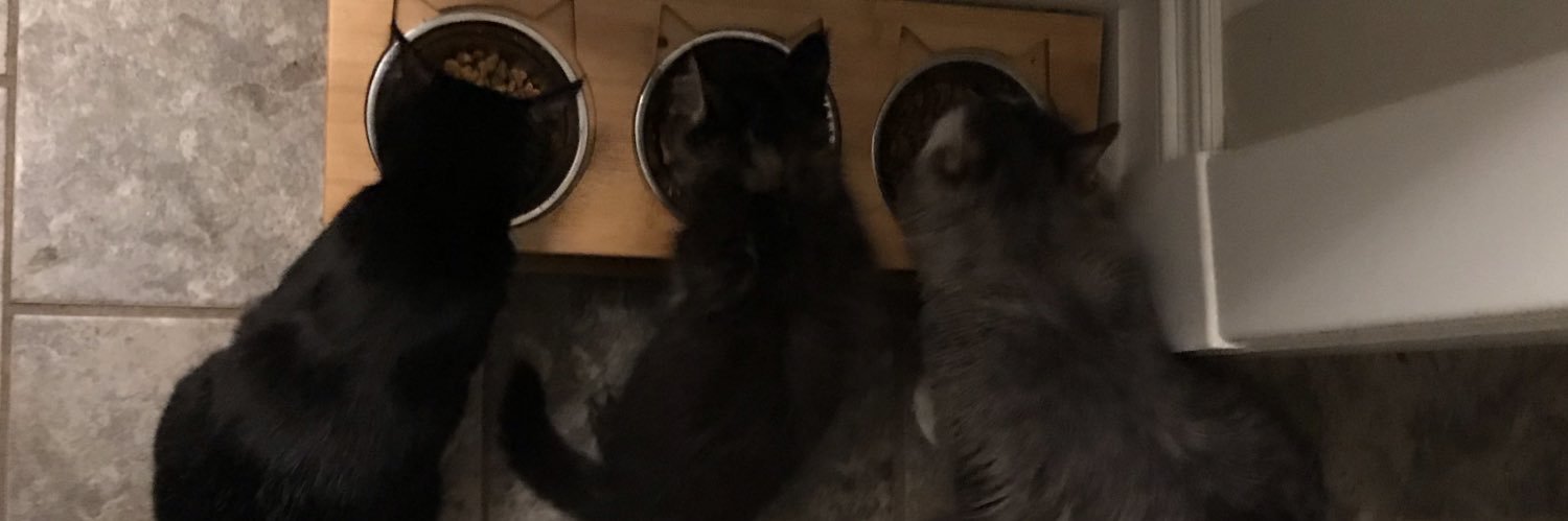 Jaanus Damsgard 🇺🇸🇪🇪 banner