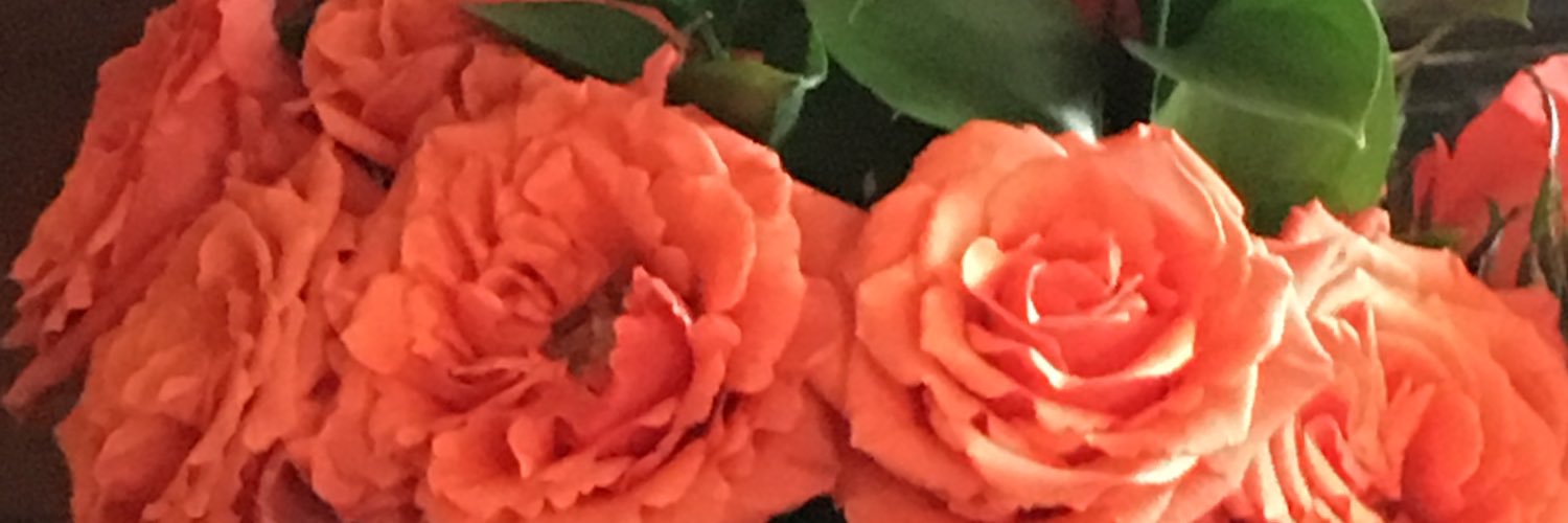 MsLuciaR's profile banner image