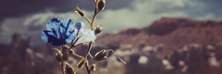 sadith133's profile banner image