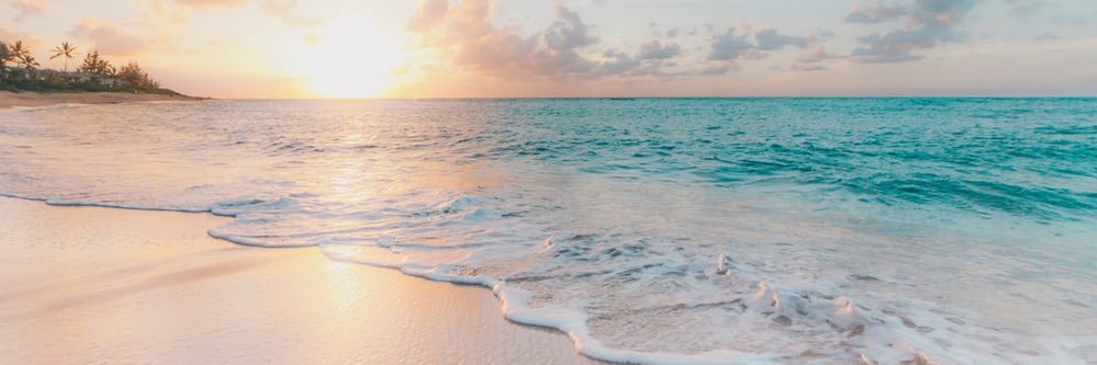 LjSweetness's profile banner image