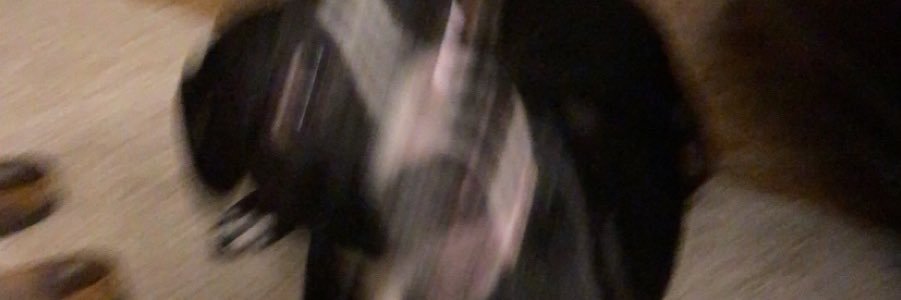 ChelbyStyles's profile banner image