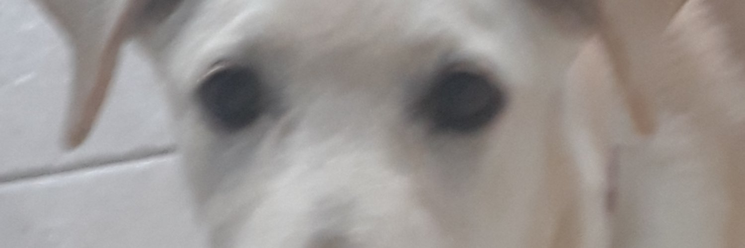 doguxo's profile banner image