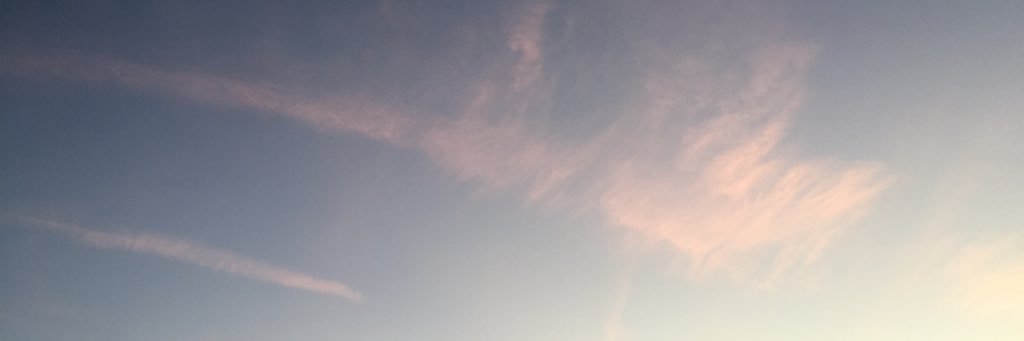whitney_wojo's profile banner image
